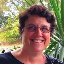 PHARMACOMETRICS AMERICAN CONFERENCE ON