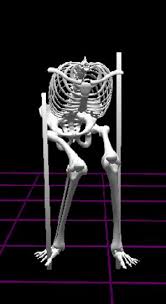 ACL injuries may be prevented by different landing strategy