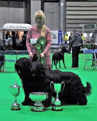 Последние твиты от secours populaire pantin (@spf_pantin). Briardwelpen Aus Kompetenter Liebhaberzucht Fci Vdh Cfh Standort Menden Im Sauerland Crufts 2018