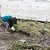 Media image for flood from CTV News