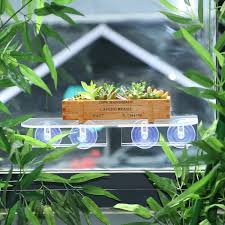 These acrylic hanging shelf are freestanding with custom designs. Figurines On Your Window 1 Seed Starter Ledge Suction Cup Window Shelf Acrylic Plant Window Shelf Transparent Window Shelf For Creating Indoor Plants Garden Window Boxes Patio Lawn Garden Patte Blanche Com