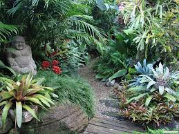 Gallery Dennis Hundscheidt Tropical Landscaping Tropical Garden Design Tropical Backyard