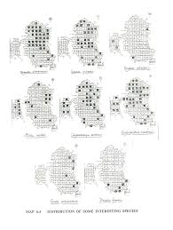 Image result for Uapaca sansibarica