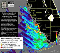 During the red tide issue, naples beachgoers continued to soak in the sun. Red Tide Continues To Spread Around Southwest Florida Orlando Sentinel