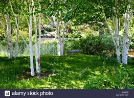 Related Image Englische Land Garten Garten Englischer Garten