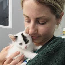 Woman saves kitten from car engine just like her Are You Being Served?  namesake