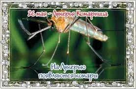Преподобная лукерья ранее была гликерия, однако наши 2 какой церковный праздник сегодня, 27 мая, почитается в православном мире 26.05.2021. Novosti Slavyanska Narodnyj Prazdnik Lukerya Komarnica Otmechaetsya 26 Maya