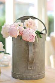 Buon Compleanno Fleurs Pivoine Varietes De Roses