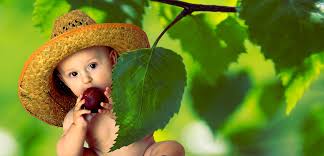 Bebe Mange Cru Un Temoignage Qui Inspire Simplement Cru