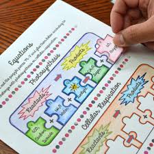 Photosynthesis Vs Cellular Respiration Math Interactive Notebook Math Interactive Algebra Interactive Notebooks