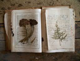 Dried and pressed flower crafts | literary spring designs. Inside The Dictionary Pressed Flowers Book Of Shadows Nature Journal
