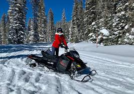 Image result for snowmobile