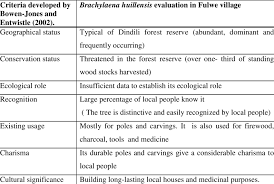 Image result for Brachylaena huillensis