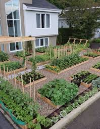 Vegetable Gardens Vegetable Garden Design Garden Layout Backyard