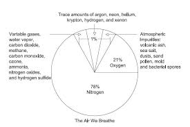 In the air, our blood, teeth and even our bones! The Air We Breathe