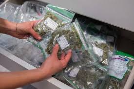How to get marijuana out of the body faster. What Really Happens When You Get Caught Traveling Through An Airport With Marijuana