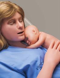 Simulators for Health Care Education