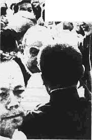 Schroeder family remains optimistic