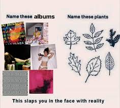 Merzbow's second american release offers more of the deafening white noise that is his trademark, mastered for maximum loudness. Screams In Merzbow Facebook