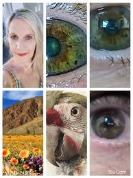 Hazel, Green, Grey, & Multicolored Eyes