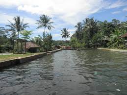 Wanayasa Kolam Renang Mata Air Cibulakan