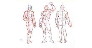 In this tutorial i will be showing you useful guidelines you can follow to draw common body types for both males and. Beginner S Guide Importance Of Proper Body Proportions And How To Get Them Right By Scriba Stylus Medium