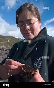 Devon wildlife trust reserve hi-res stock photography and images