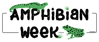 In amphibian coloring pages category. Amphibian Week 2020 Parc