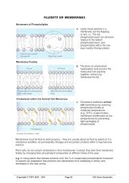 Membrane Fluidity | Ppt