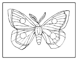 Butterfly of beautiful open wings. Butterfly Coloring Pages