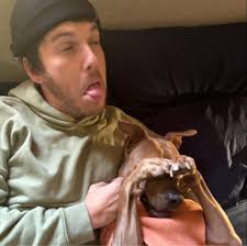 Claypool.. shared new videos from Primus' drummer auditions and revealed  some terrific names that took part in the process, like Maynard James  Keenan and Danny Carey. Among the competitors, especially Rory Dolan