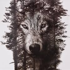 Impermeabile Temporaneo Falso Adesivi Grigio Foresta Lupo Animali Grande Diy Acquistare A Basso Prezzo Nel Negozio Online Joom