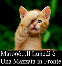 BUONGIORNO FORUM!!!!  Saluti lampo - Pagina 30 Images?q=tbn:ANd9GcTP-C2cga-f9sQsF1AG9ppUOUd9oUidzC9JhiLy4GfW9eNTG4bO0A