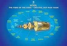 Wool Wikipedia