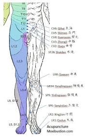 Overactive Bladder Points Acupuncture Urinary Incontinence Overactive Bladder