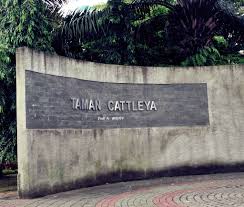 Taman ini digunakan sebagai tempat rekreasi dan temp. Taman Cattleya Buka