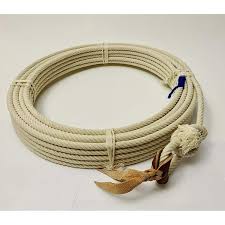 Image result for Rogiera cordata