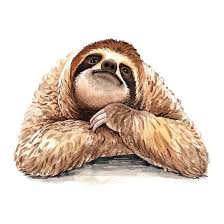 Pin By Amethyst Dawn On Slothys Sloth Art Sloth Drawing Sloth
