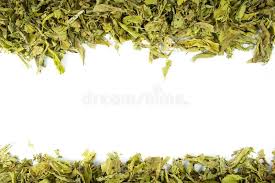 Sabah snake grass tea our teh belalai gajah or sabah snake grass tea is easy to consume. Close Up Of Dried Sabah Snake Grass Leaves Stock Image Image Of Supplement Detoxification 128051785