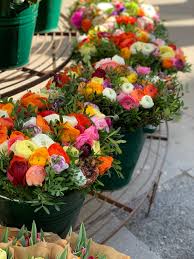 Wir freuen uns auf euren besuch! 58 Schon Bambus Garten Stuttgart Garten Deko