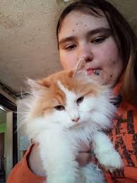 We are looking to rehome our orange cat, Smokey. Unfortunately, I am  allergic, and our family is unable to keep him. We're hoping to find a  loving home that will keep him