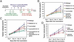 Check spelling or type a new query. Vascular Normalizing Doses Of Antiangiogenic Treatment Reprogram The Immunosuppressive Tumor Microenvironment And Enhance Immunotherapy Pnas