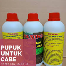 Baru Wa 0822 2022 8118 Pupuk Nasa Untuk Cabe Pupuk Cabe Berbuah Lebat Di Semarang Buah Nutrisi Pupuk Organik