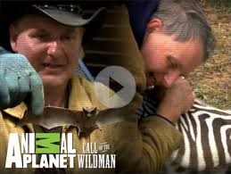 Drugs, Death, Neglect: Behind the Scenes at Animal Planet