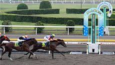 It's fully loaded with all the charms of villainesses!! ã‹ã—ã‚è¨˜å¿µ Wikipedia