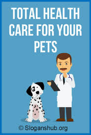 Although they may complain, spay/neutering is always best!. Slogans On Pet Care