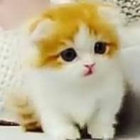 Kamu bisa memperoleh herbul henna hair coloring seharga 20 ribuan ini dengan diimpor langsung dari arab saudi, rani henna cream adalah salah satu cat rambut henna yang memiliki kualitas terbaik. Mewarnai Patung Tanah Liat Membuat Patung Lebih Awet Kuat Menarik Atau Mahal Brainly Co Id