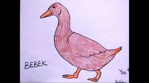 Ada banyak faktor yang menjadikannya pantas dijadikan sebagai teman bermain. Cara Mudah Menggambar Bebek Untuk Pemula Youtube