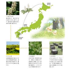 国産 蜂蜜 ナッツ漬け セット 高級 近藤養蜂場 瓶 長期保存 常温保存 アカシア 百花 アーモンド くるみ