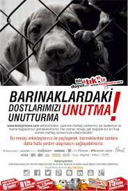 Barinak Bagislariniz Icin Http Www Kolaymama Com Barinaklara Bagis Adresimizi Ziyaret Edebilir Yada 0850 302 6262 Numarali Telefonuzu Araya Mutlu Yaya Bilgi